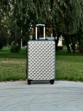 велика (L) Валіза Wings BS190 Польща стрібляста BS190 L silver фото