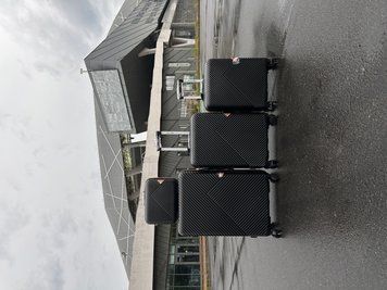 Валіза пластикова Wings WN01 велика (L) на 4-х подвійних колесах чорна Wn01 L black фото